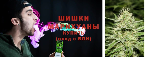 прущие крисы Богданович