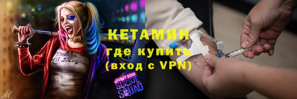 шишки Богородицк