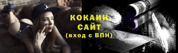 шишки Богородицк