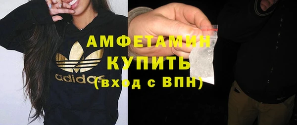 шишки Богородицк