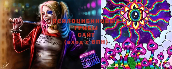 шишки Богородицк