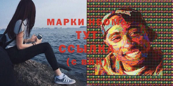 шишки Богородицк