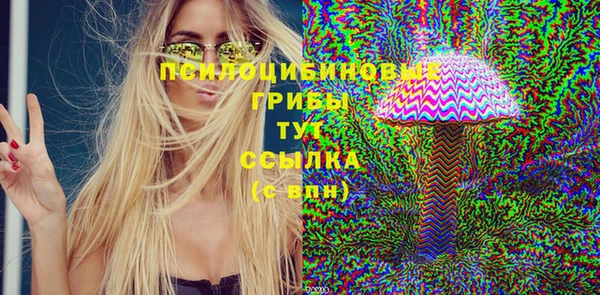 шишки Богородицк
