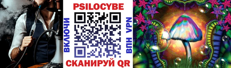 omg вход Люберцы Псилоцибиновые грибы мицелий